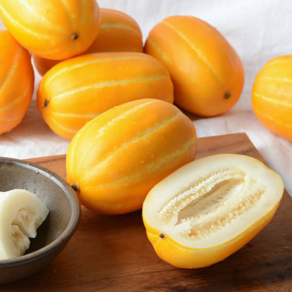(신선집중) 성주참외 산지직송 당도선별 가정용 꿀 참외 9kg(혼합과) 실중량/한정 초특가