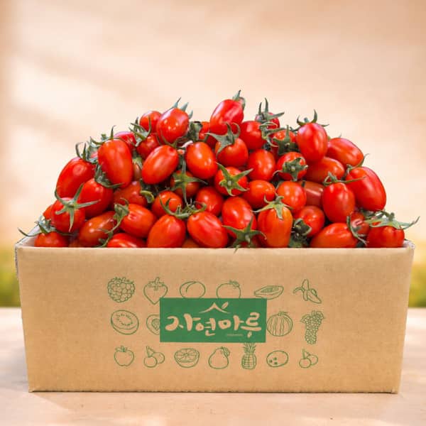(신선집중/15%+NH10%) 대추방울토마토 3~4번과 2kg /2세트 주문시 5kg 발송