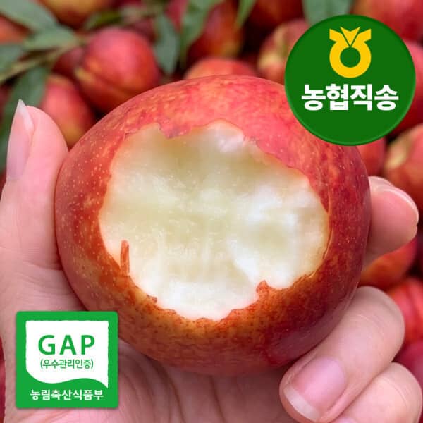 신비복숭아 농협직송 일50박스 GAP인증 황제 신비복숭아 초고당도 12~15°Bx 로얄과 2kg (19~23과)